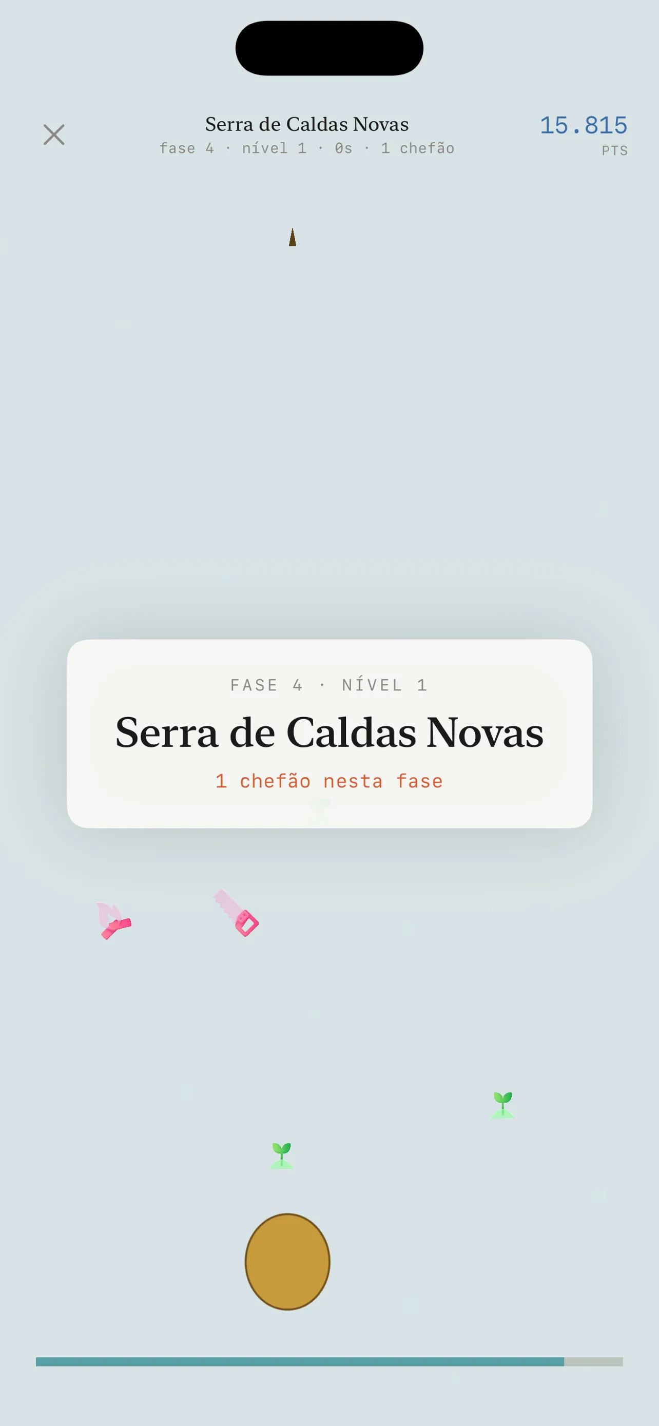 Pequi BLA: caldas novas